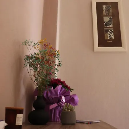 Apartment 6th Parodos Ioanni Theotoki 20